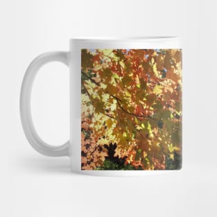 Maple Leaves in the Fall Mug